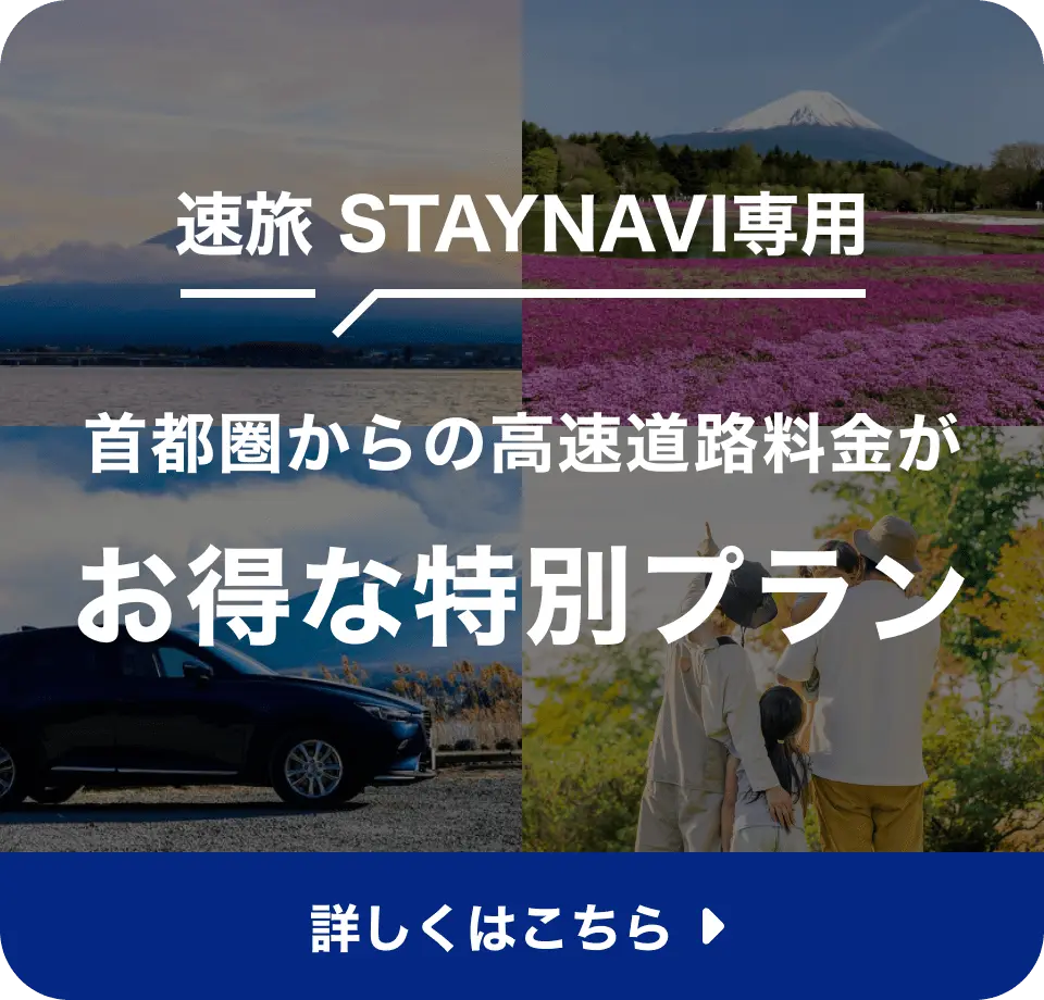 STAYNAVI